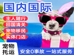 齐齐哈尔机场货运国际宠物托运 【国